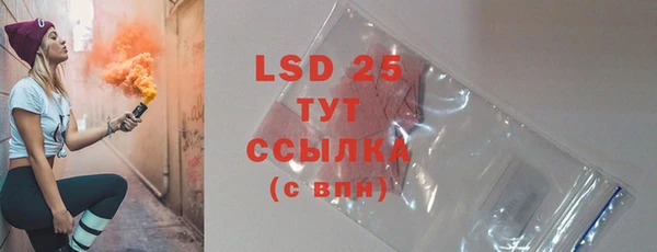 прущие грибы Алзамай