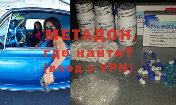 прущие грибы Алзамай