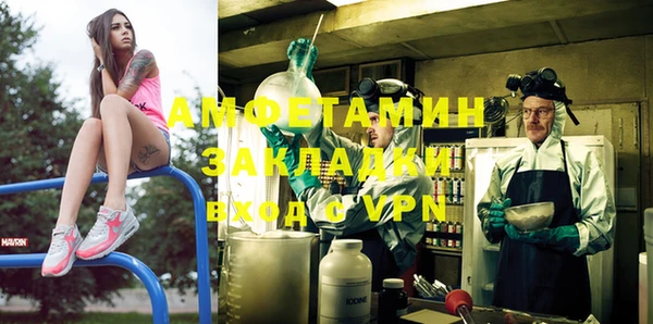 гашик Пересвет