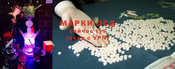 прущие грибы Алзамай