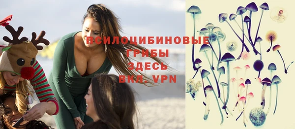 сатива Переславль-Залесский