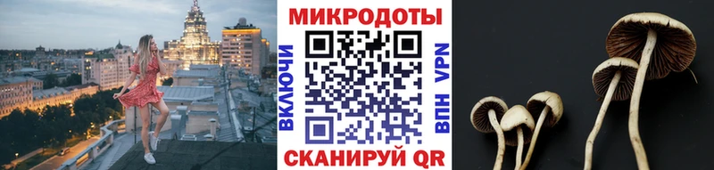 наркота Пошехонье Галлюциногенные грибы прущие грибы